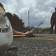 Image for article titled What To Do When You're The First On The Scene At An Accident